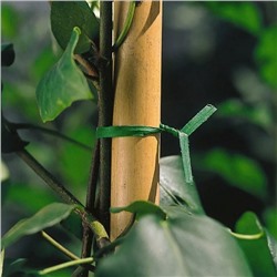 Подвязка для растений 100 метров